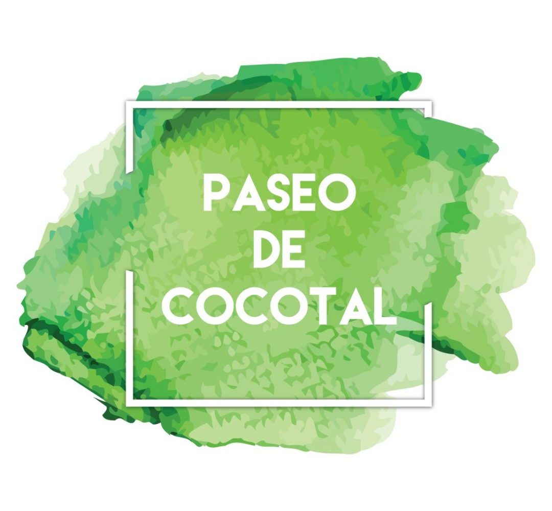 Paseo de Cocotal Bavaro