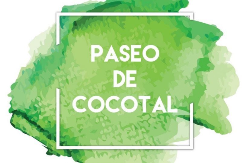 Paseo de Cocotal Bavaro