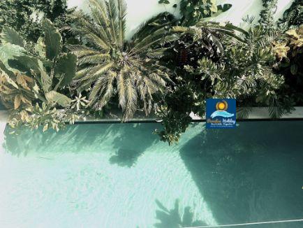 Alquiler en las Terrenas Republica dominicana