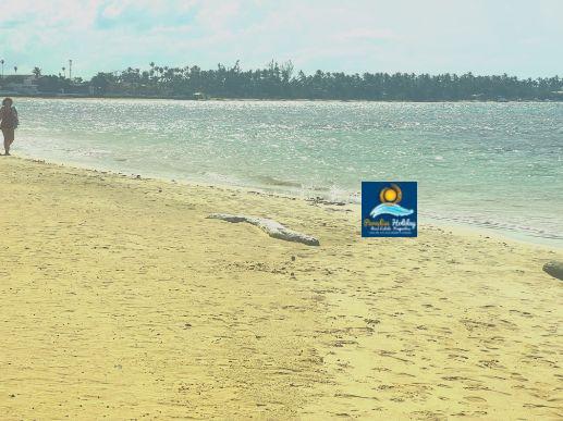 Alquiler en las Terrenas Republica dominicana