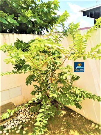 Compra de Apartamentos en Republica