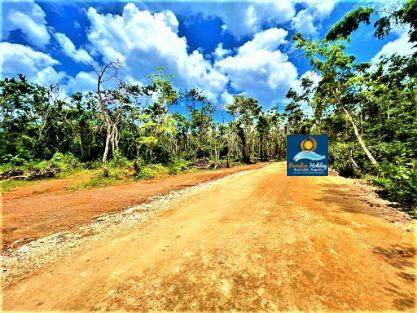 Comprar bienes raices