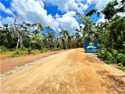 Comprar bienes raices