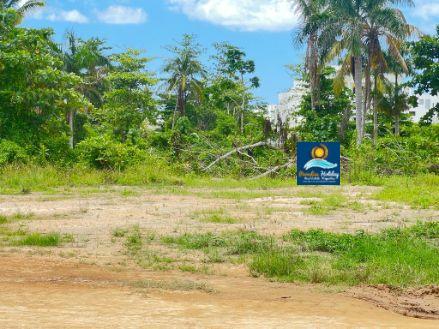 Comprar bienes raices