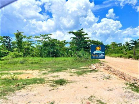 Comprar bienes raices