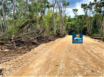 Comprar bienes raices