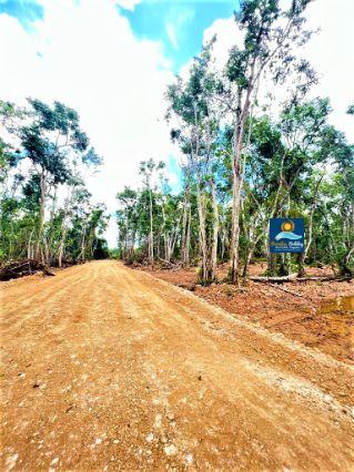 Comprar bienes raices