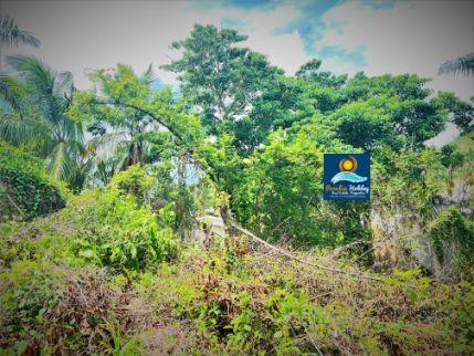 Pagina de Venta de Inmuebles