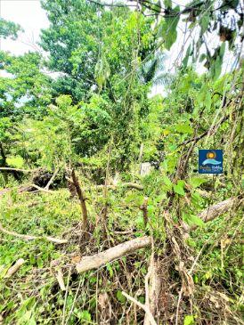 Pagina de Venta de Inmuebles