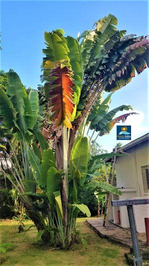 Alquilar Villa en Republica Dominicana