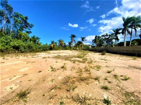 Propriétés à Las Terrenas République Dominicaine