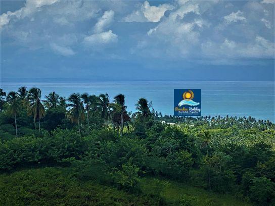 Dominica Land For Sale