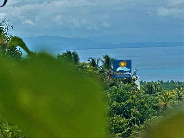 Dominica Land For Sale