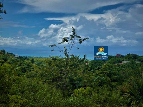 Dominica Land For Sale