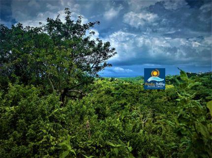 Dominica Land For Sale