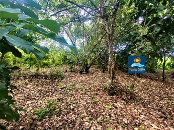 Dominica Land For Sale