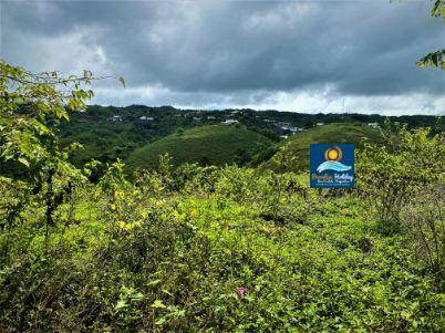 Dominica Land For Sale