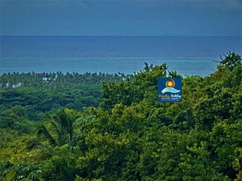 Dominica Land For Sale