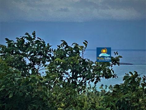 Dominica Land For Sale