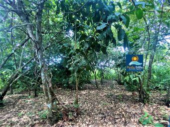 Dominica Land For Sale