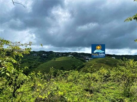 Dominica Land For Sale