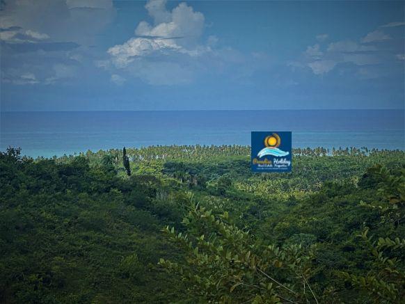 Dominica Land For Sale