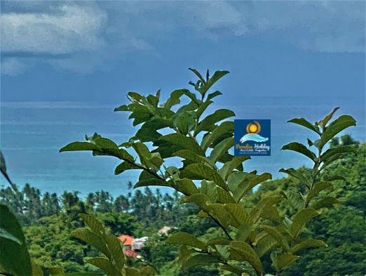 Dominica Land For Sale