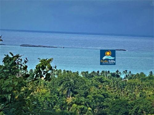 Dominica Land For Sale