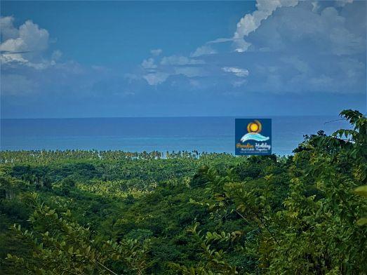 Dominica Land For Sale