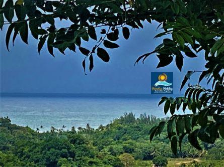 Dominica Land For Sale