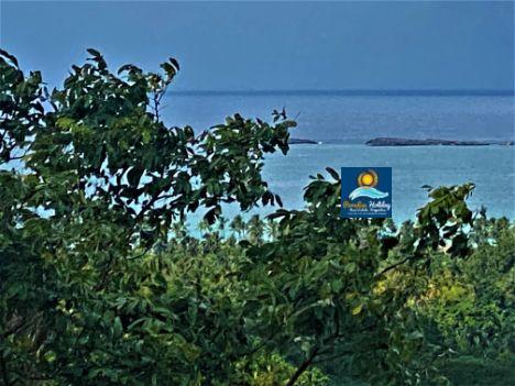 Dominica Land For Sale