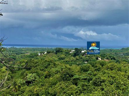 Dominica Land For Sale