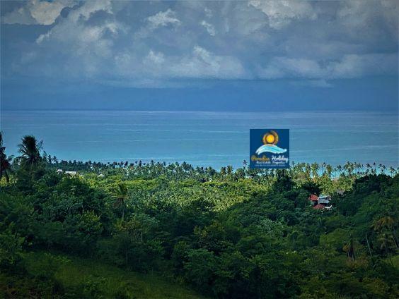 Dominica Land For Sale