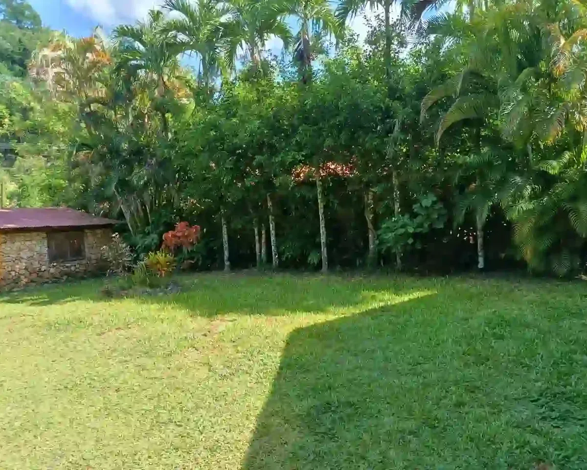 Cabanas en Las terrenas