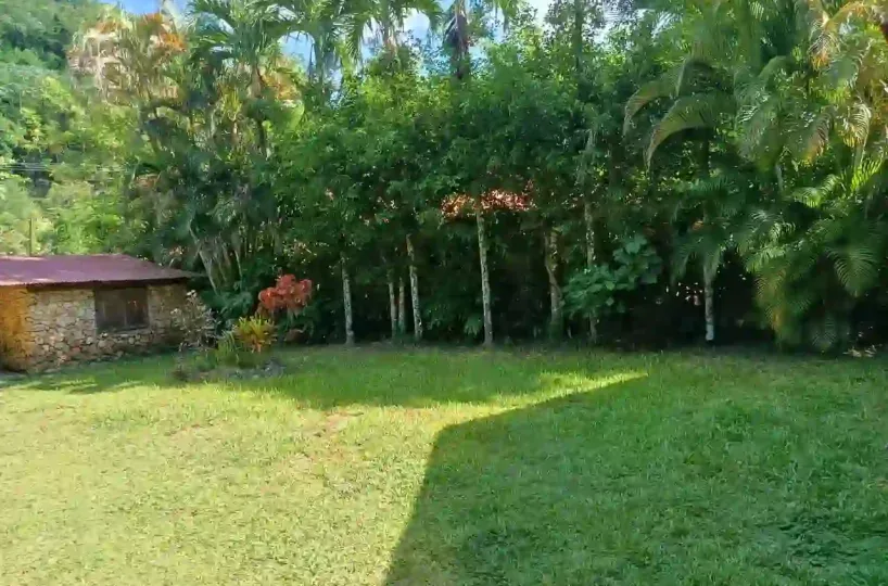 Cabanas en Las terrenas