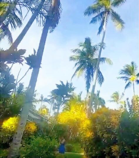 cheap condos for sale in dominican republic vistas del jardin