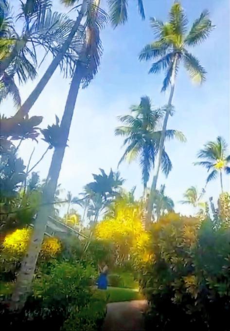 cheap condos for sale in dominican republic vistas del jardin