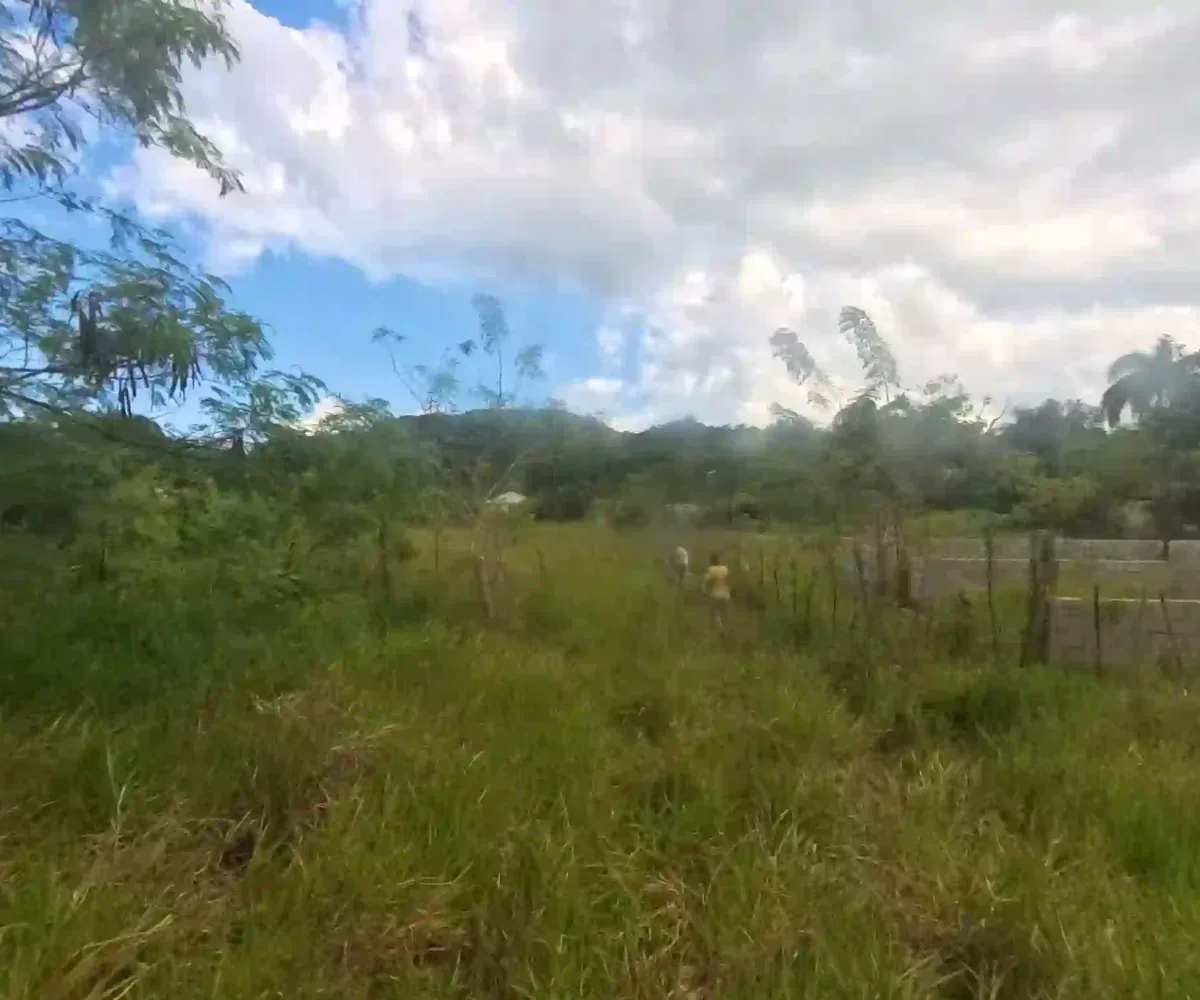 Estate Real Estate en Venta en el Limón