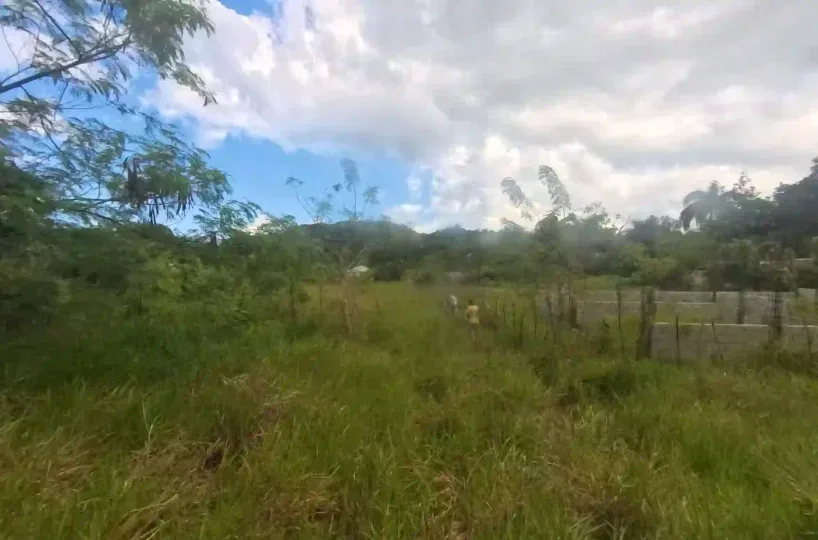 Estate Real Estate en Venta en el Limón