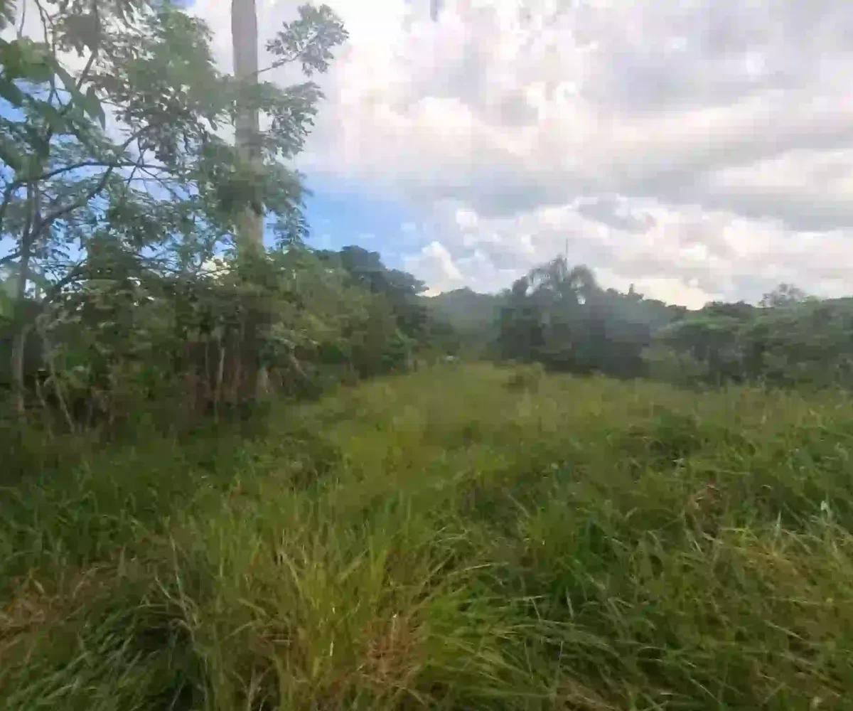 Estate Real Estate en Venta en el Limón