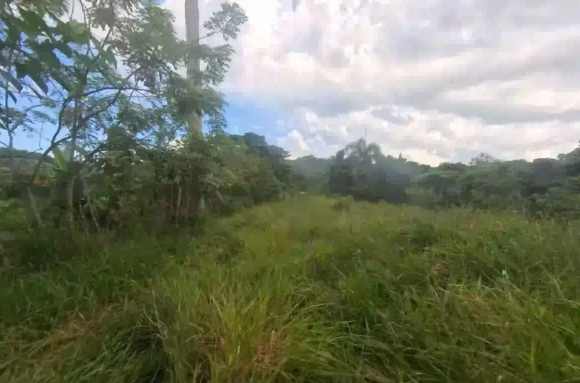 Estate Real Estate en Venta en el Limón