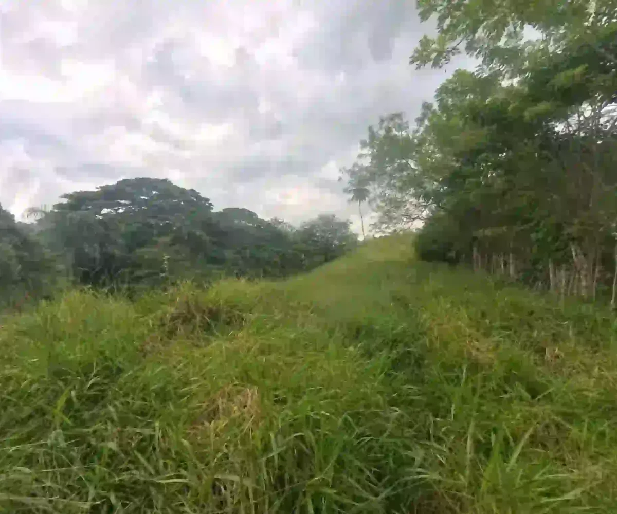 Estate Real Estate en Venta en el Limón