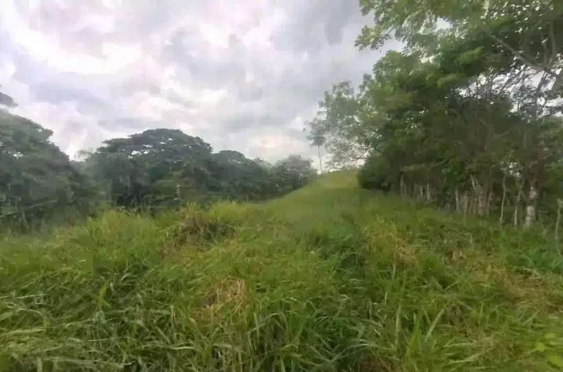 Estate Real Estate en Venta en el Limón