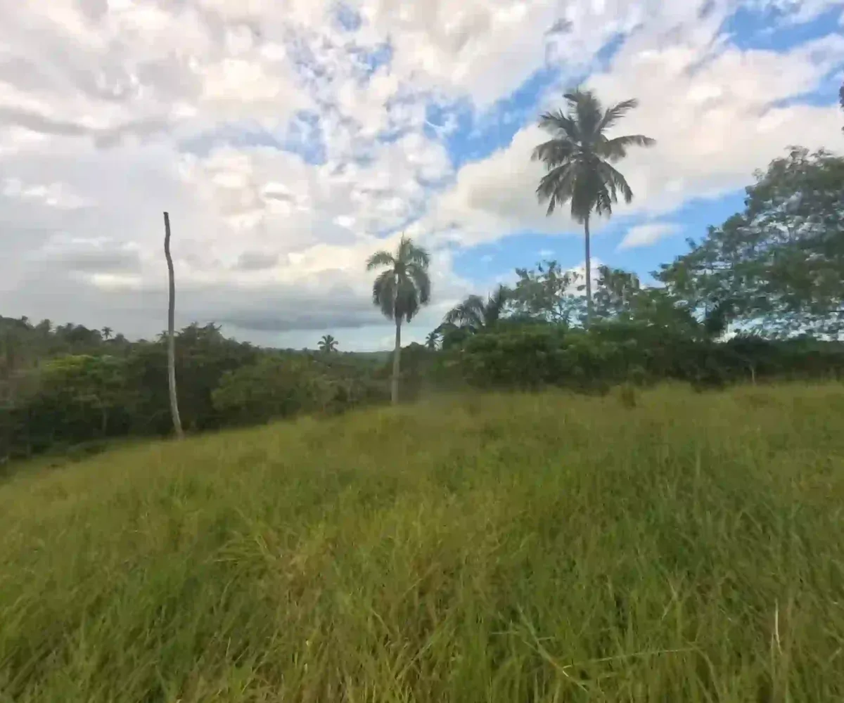 Estate Real Estate en Venta en el Limón