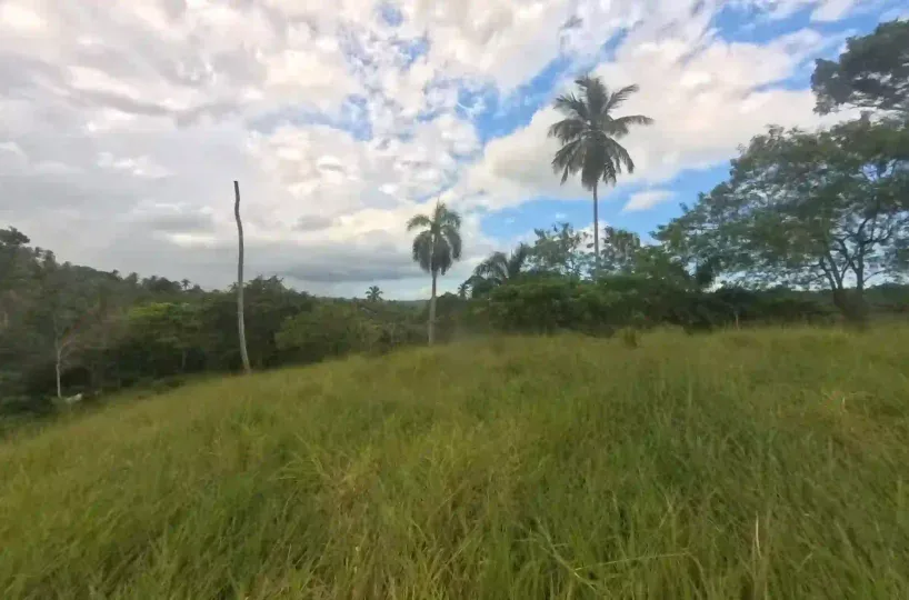 Estate Real Estate en Venta en el Limón