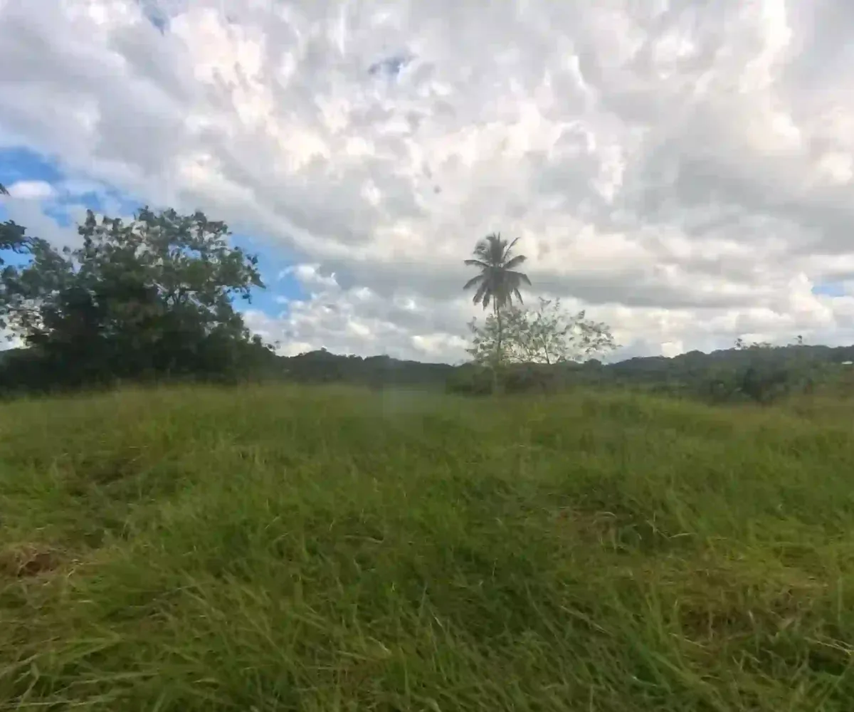 Estate Real Estate en Venta en el Limón