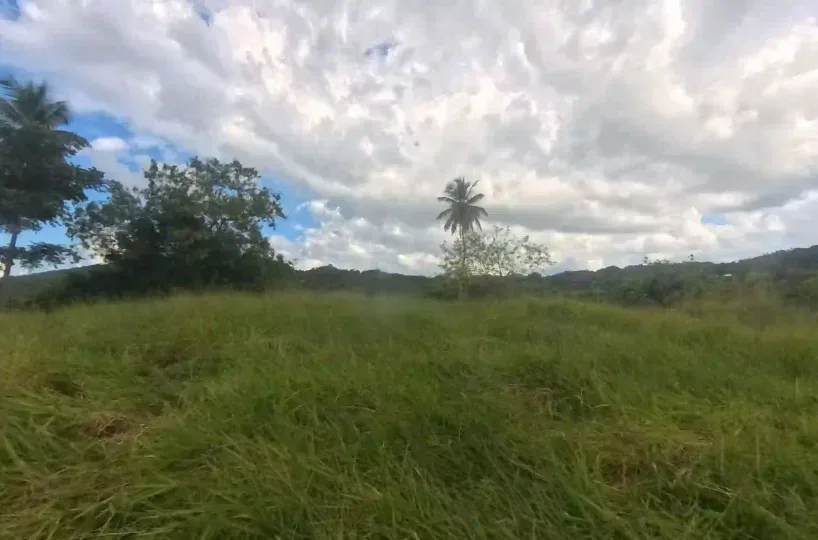 Estate Real Estate en Venta en el Limón