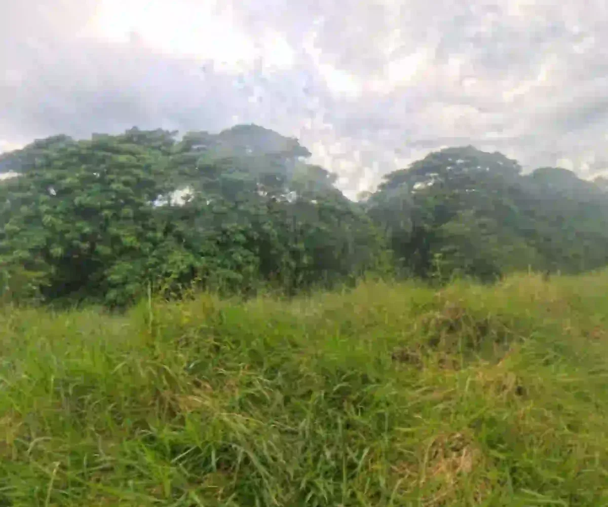 Estate Real Estate en Venta en el Limón