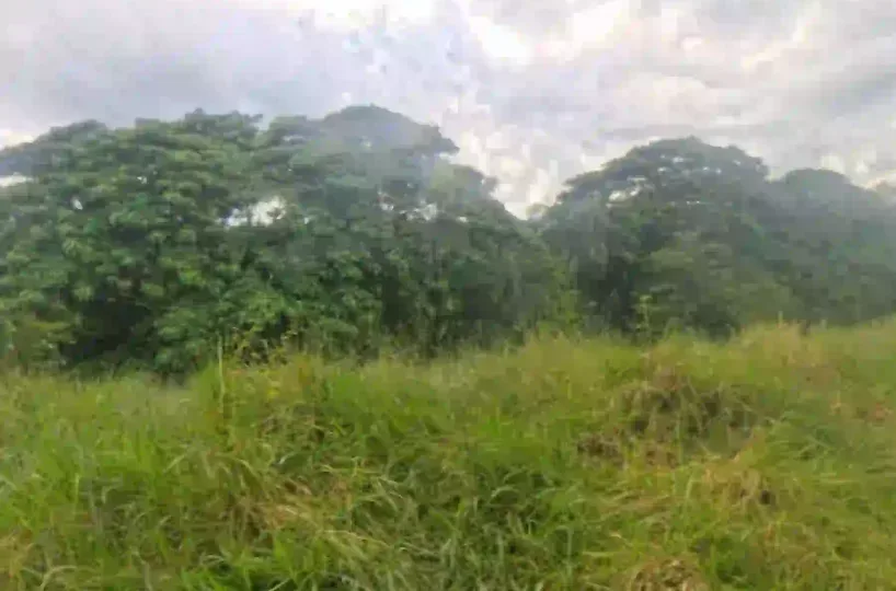 Estate Real Estate en Venta en el Limón