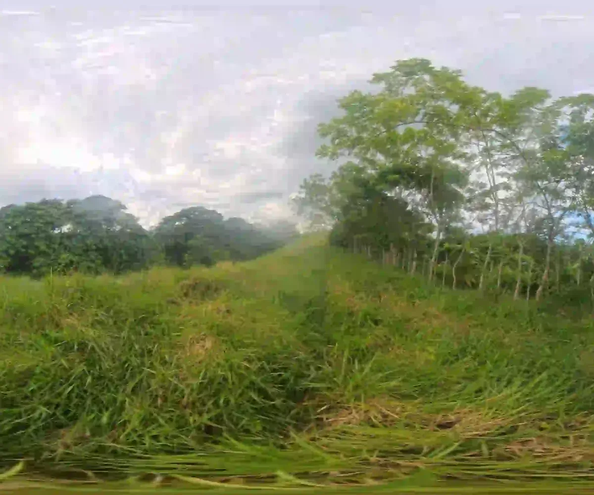 Estate Real Estate en Venta en el Limón